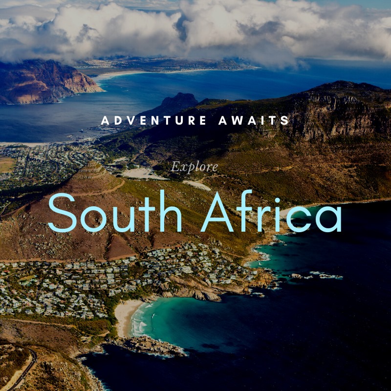 AWATravel's tweet photo. #CapeTown, #SouthAfrica has it all! Enjoy the stunning views of Table Mountain, diverse cuisines, and activities for all ages. Check out The Cape Floral Region, where you can get up close and personal to over 7000 plants unique to South Africa. https://t.co/1TX1PWhPgh