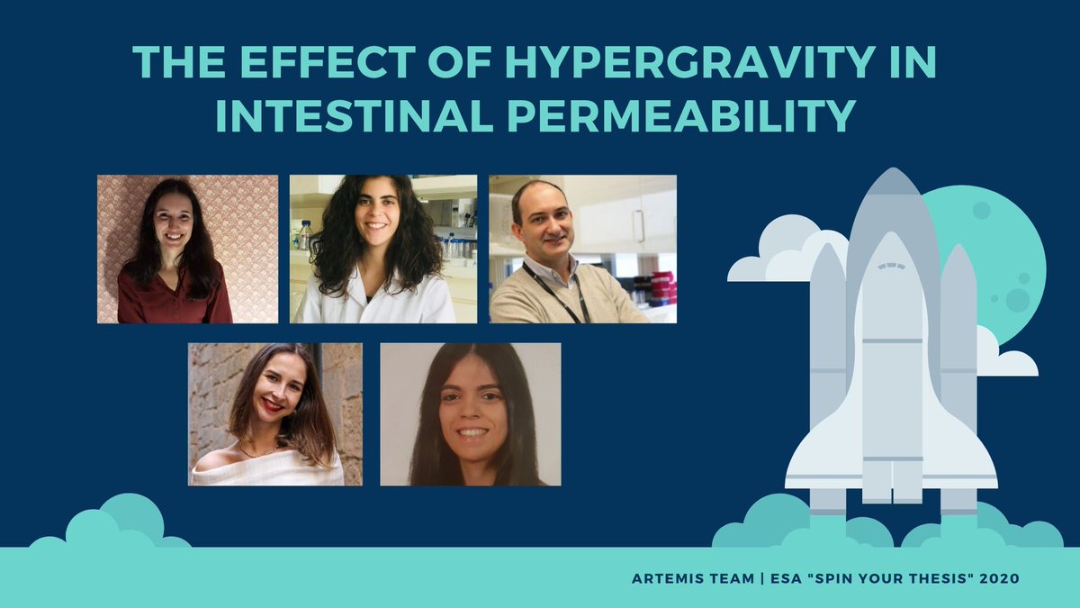 ARTEMISTeam2's tweet image. The team is composed by @ClaudiaAzevedoo , @MHelenaMacedo6 , @almeidaandreia and Soraia Pinto, supervised by @brunocsarmento from Nanomedicines and Translational Drug Delivery Group of @i3S_UPorto