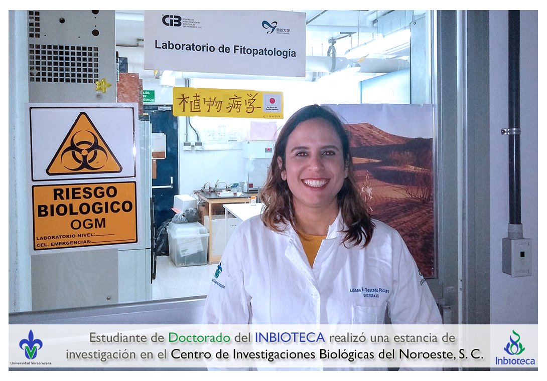 inbioteca's tweet photo. La estudiante Liliana Saucedo Picazo del #DCEB del @inbioteca realizó una estancia de investigación en Centro de Investigaciones Biológicas del Noroeste #OrgulloUV #UV_DamosMás
https://t.co/c87yUgj4fa https://t.co/BScGTkHjGg