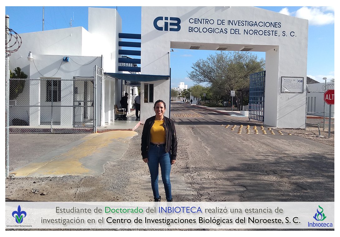 inbioteca's tweet photo. La estudiante Liliana Saucedo Picazo del #DCEB del @inbioteca realizó una estancia de investigación en Centro de Investigaciones Biológicas del Noroeste #OrgulloUV #UV_DamosMás
https://t.co/c87yUgj4fa https://t.co/BScGTkHjGg