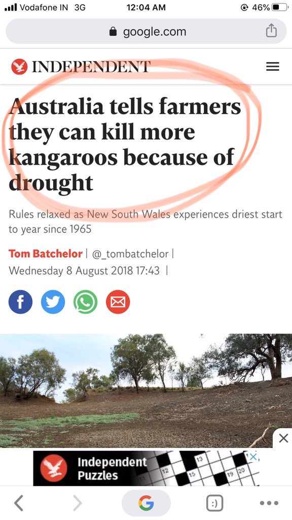 nitu_butterfly's tweet photo. SORRY to say but Australia getting sympathy for all the animals in danger Coz of fire.But whn nature is NOT being harsh that time Aus was always harsh towards Animals.Even NOW they ARE. Hypocrisy. What wrong hv these Camels done? What wrong did Kangaroos do when thr was NO fire? https://t.co/9ixLm1y7zb