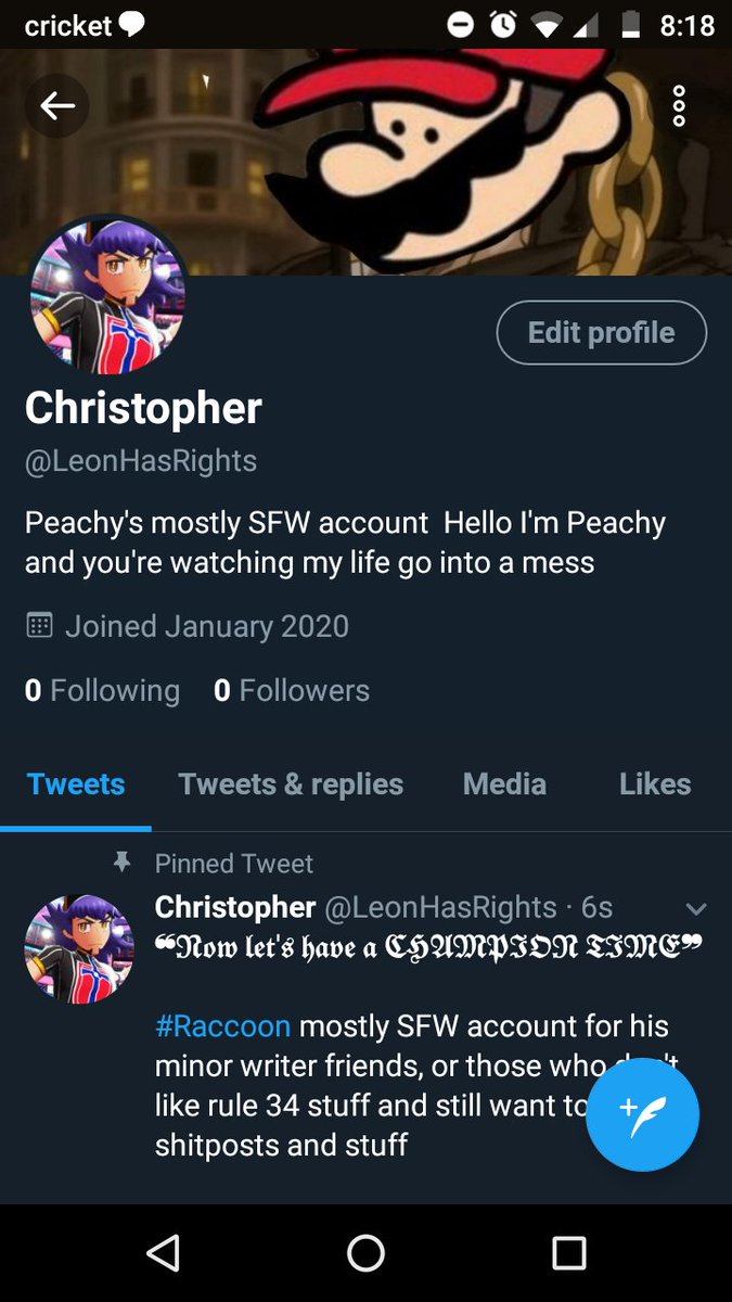 //Posting this here too cause I have a mostly SFW writer account now.

Now my minor friends and those that don't want to see rule 34 can now see into my personal life.

[old screencap]