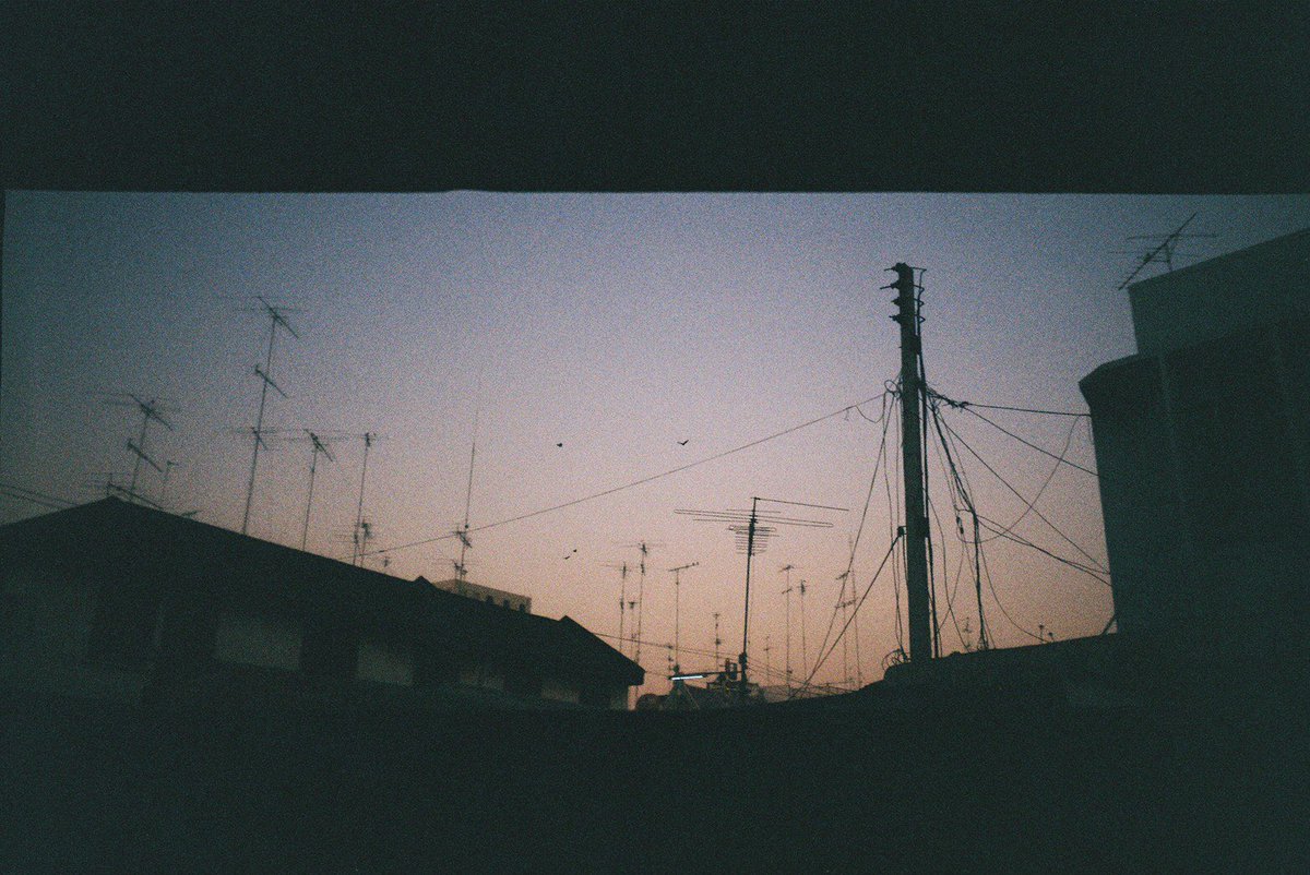 lapqjsn's tweet photo. Film:lomo100 https://t.co/wyoA2kf8Yo