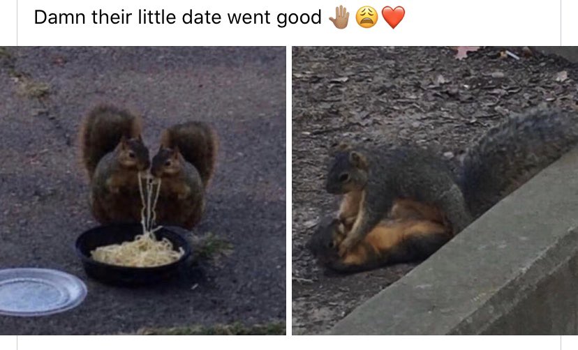 😂😂 perfect day to me 😂🤍