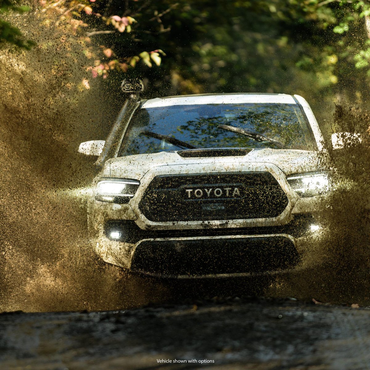 ehrlichouteast's tweet photo. Toyota TRD vehicles are designed to conquer whatever terrain they encounter. View the new Toyota TRD lineup below.
https://t.co/DESiw2JlWf https://t.co/KfLdx0plGL