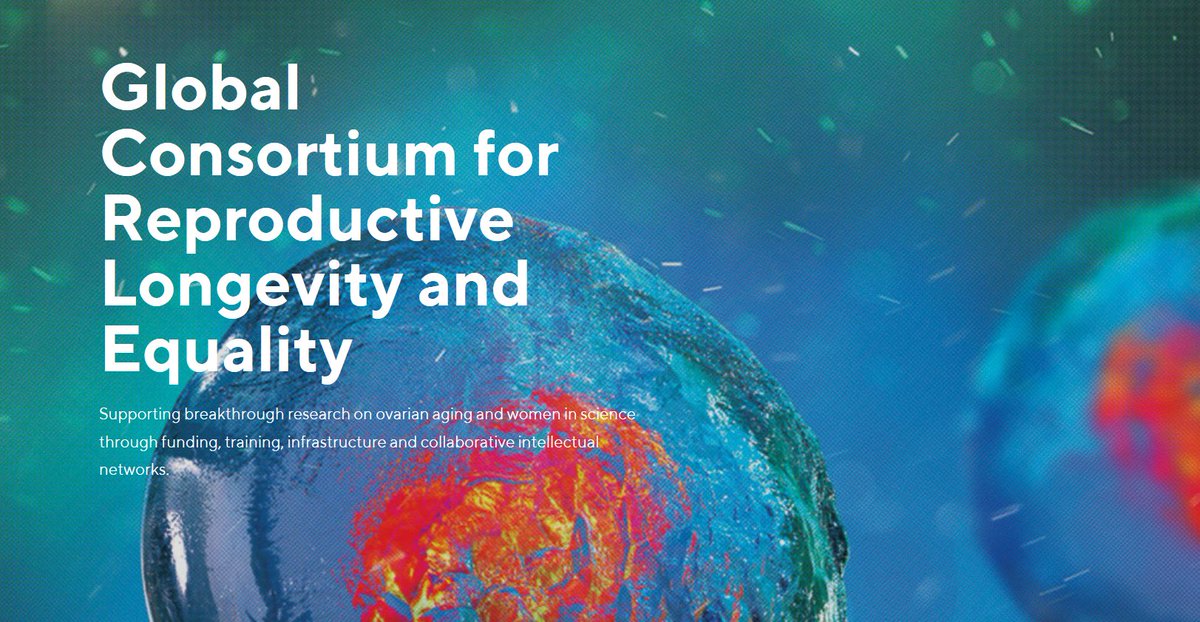 Announcing first call for grant apps from Global Consortium for Reproductive Longevity and Equality. In partnership w/ the Bia-Echo Foundation, we seek to foster bold, innovative scientists w/ potential to transform the field of female reproductive aging. buckinstitute.org/wp-content/upl…