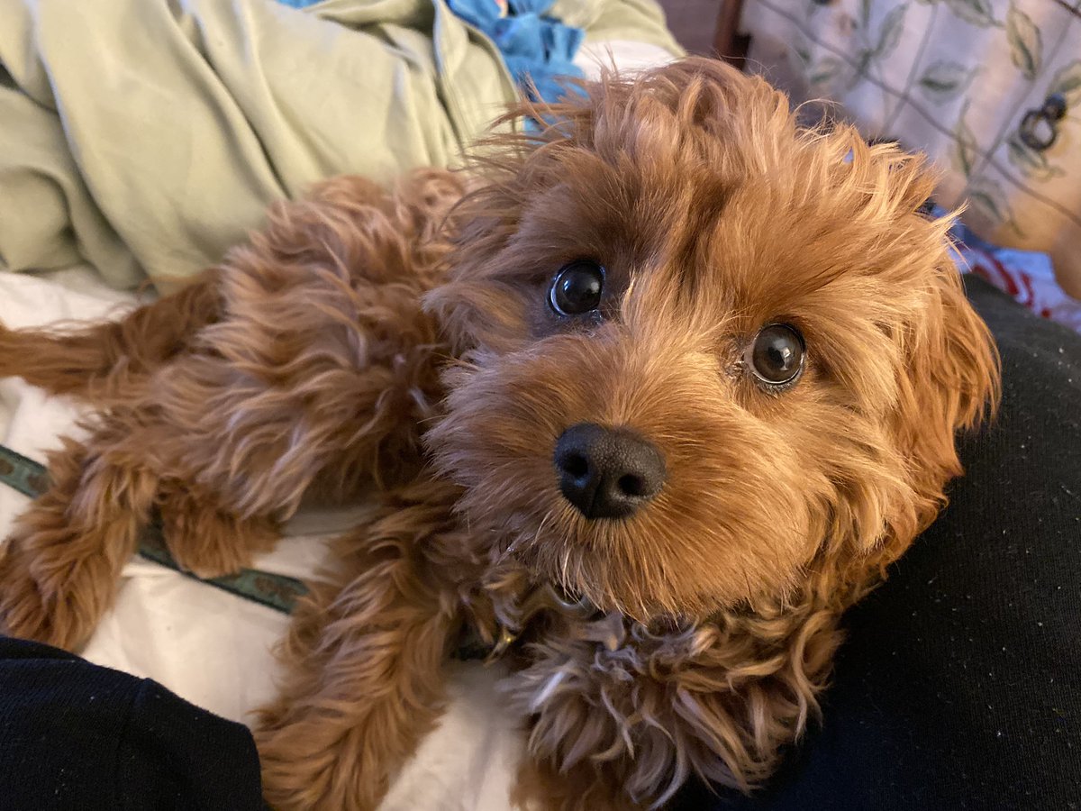 Erica Deel tweet media