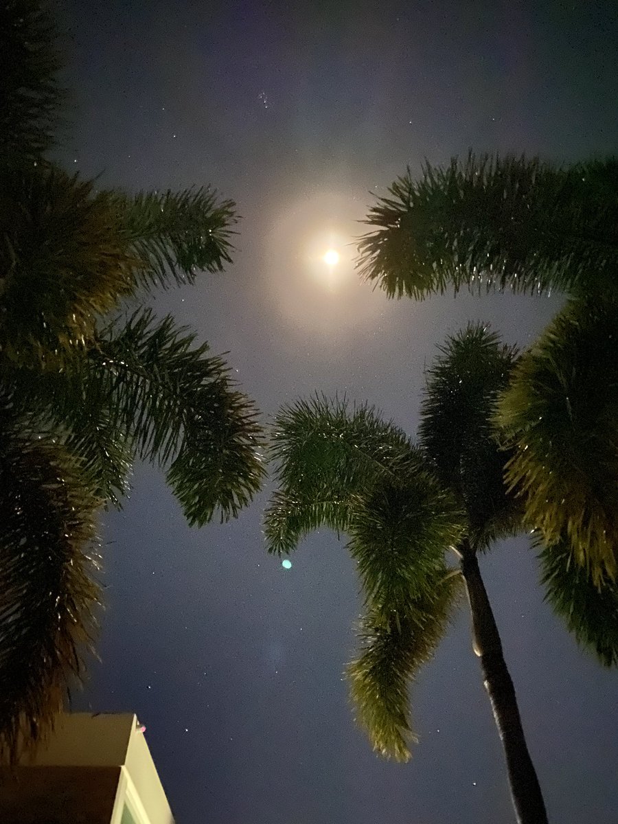 maria_nmrtnz's tweet photo. Sin filtro... 🌕luna llena #PostEarthquake #SinLuz https://t.co/P7Q64rfMl0