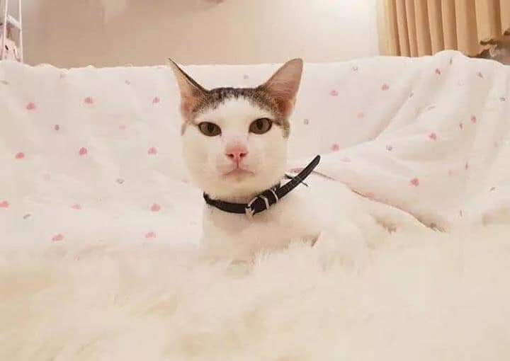 Before and after, the hell and heaven 😢💘💋 Jika tidak menyukai jangan menyakiti.

By. Designed by cat