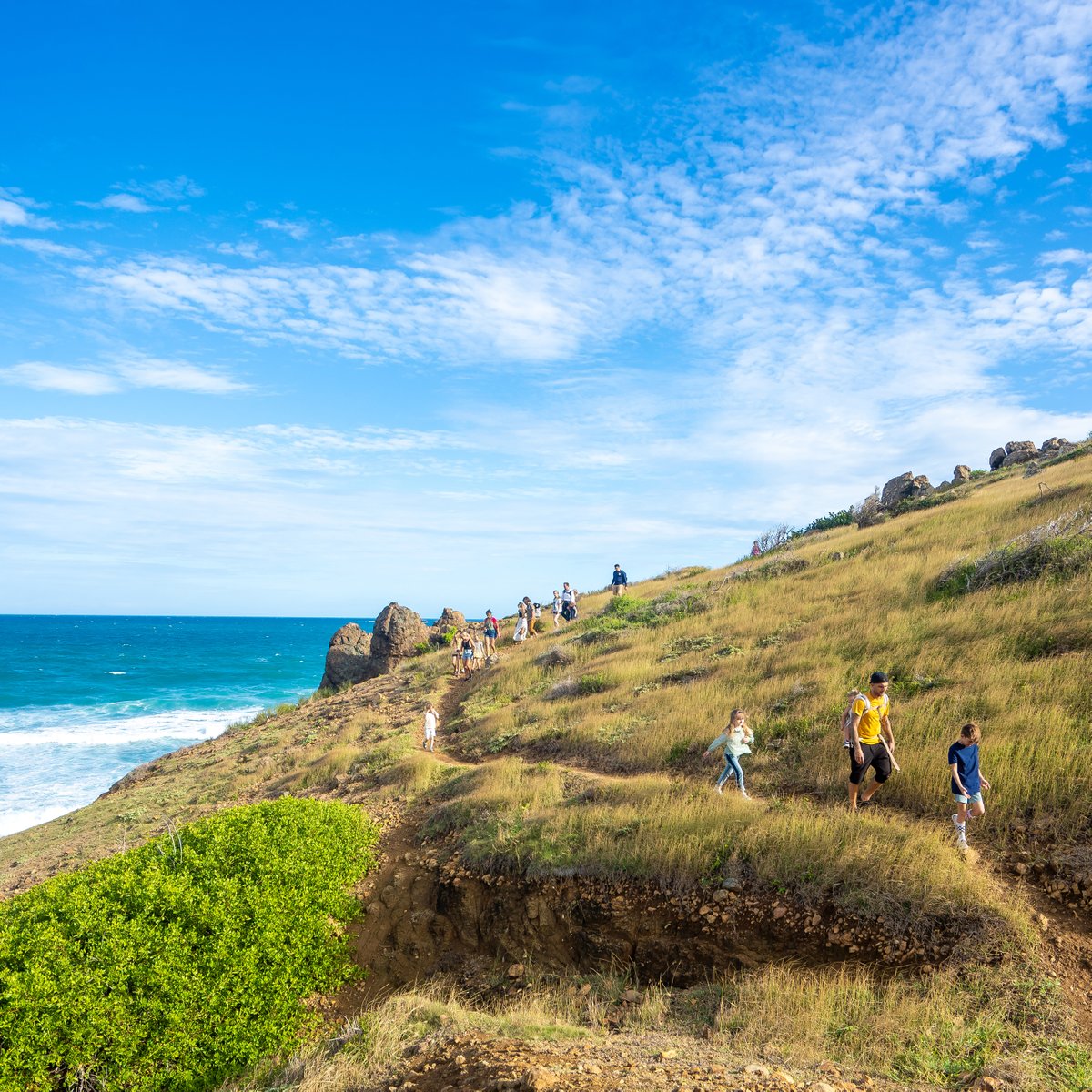 RoyalCaribbean's tweet photo. Of all the paths you take in life, make sure a few of them involve tidal pools, breathtaking views and 🐐.
📸: @tmartn https://t.co/2VClWbKW9v