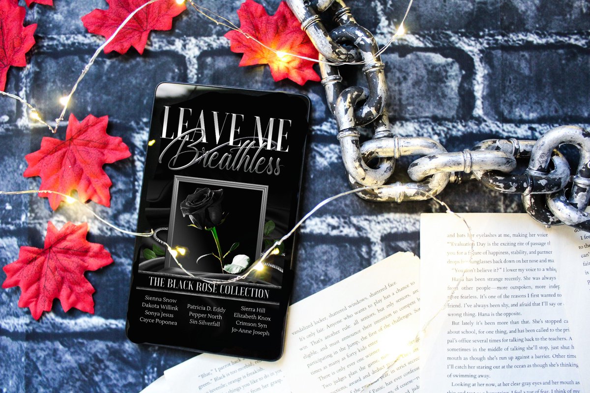 Lose yourself in 11 addicting reads for $0.99! Don’t miss out on the HOTTEST boxed set around. #LeaveMeBreathless #LMBauthor bit.ly/LMBbooksBlackR…
