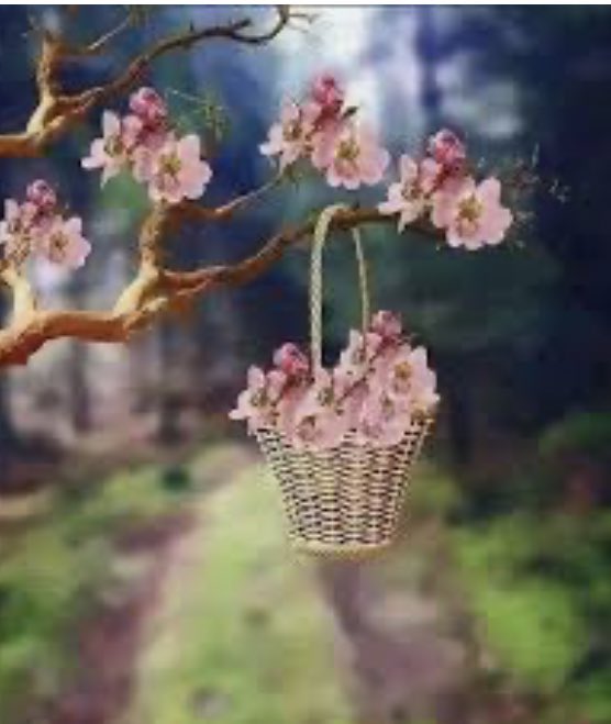 لن يكون عمرك كله ربيعاً
ستتناوب عليك الفصول الأربعة
تلفحك حرارة الخيبات
تتجمد في صقيع الوحدة
تتساقط أحلامك اليابسة
لكن حياتك ستُزهر من جديد