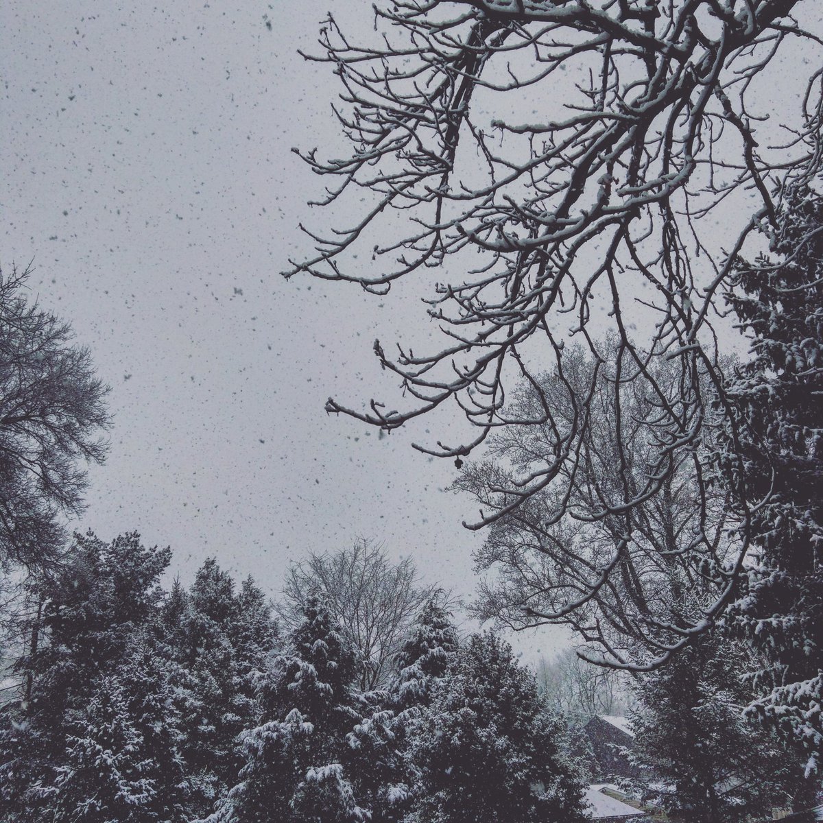 I love when it snows ❄️❄️🌨️☃️