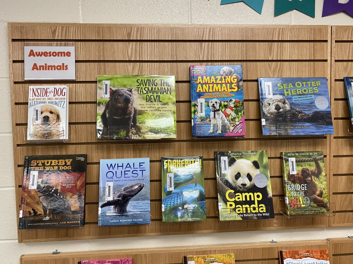 LargoMSLibrary's tweet image. NEW BOOKS WHO DIS?
Happy New Year, Tiger Readers! Welcome back to school. Come check out one of our new books that arrived over break. We have something for everyone! 
#readlikeatiger #newbooks