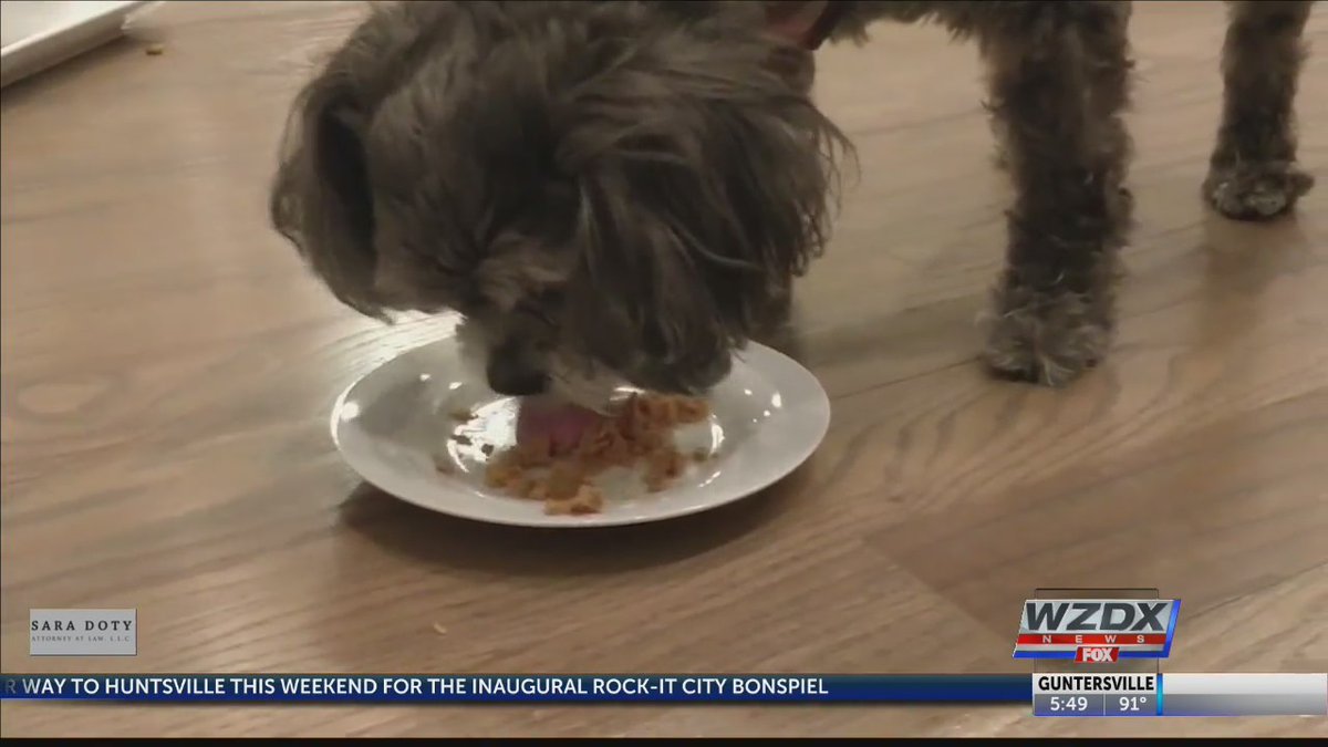 CbdFact's tweet photo. Are CBD products for pets actually useful? | WZDX-TV

Skip to content

Previous Alert

1
 of 
/
2

Next Alert

Source link https://t.co/jdNz5qEwj5 https://t.co/Velr44oweO