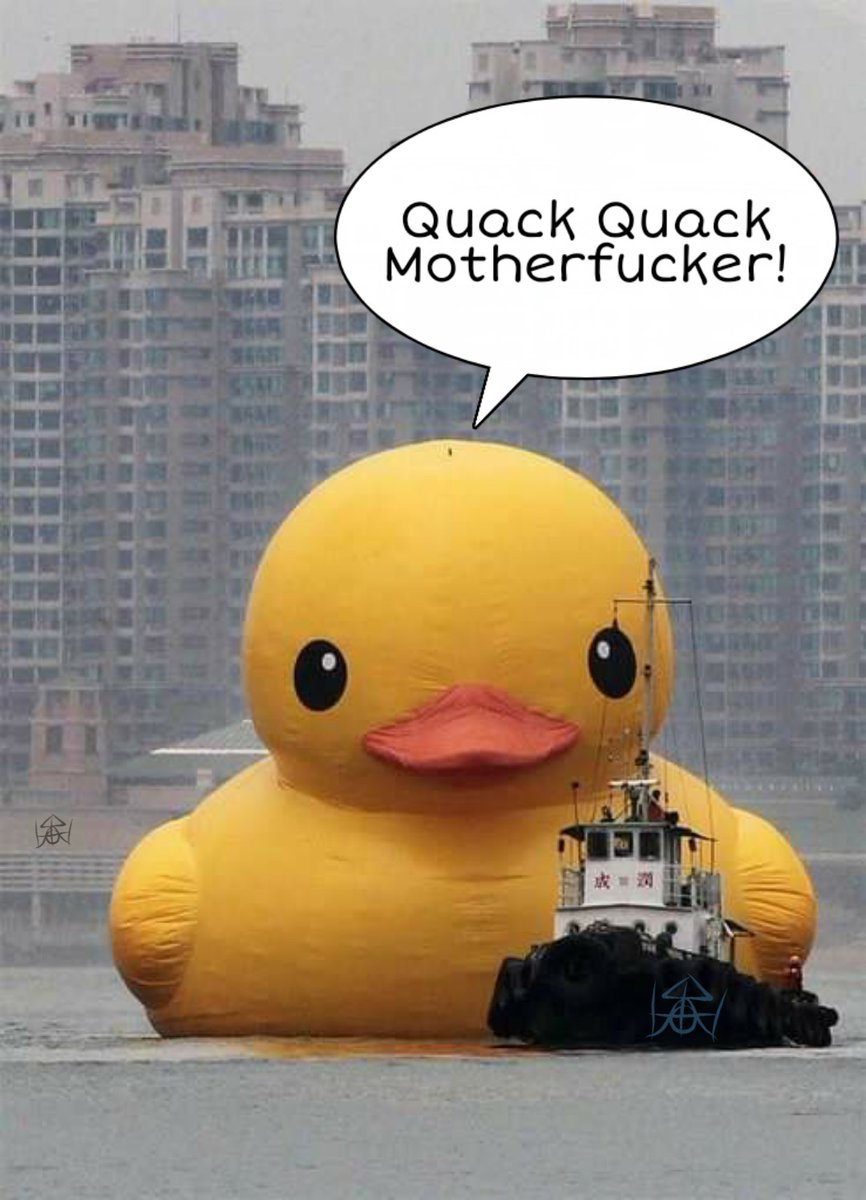 robothron's tweet photo. Quack Quack motherfucker! https://t.co/pYkvUcHAik