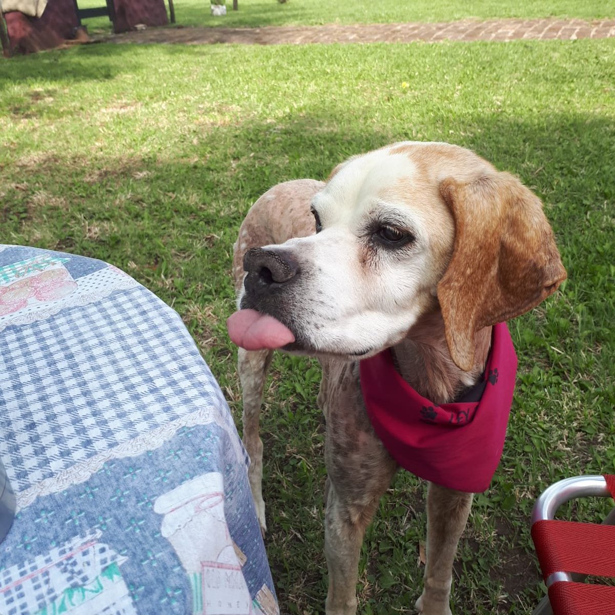 Fl0rdeperra's tweet photo. Esta secuencia de fotos me llena el alma, lo re amo 🥰 https://t.co/aTSRBz2UzE