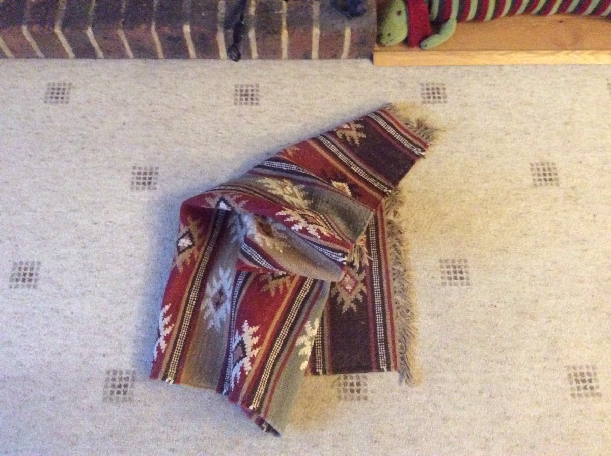 stockton_teddy's tweet photo. For some strange reason, ‘Her Indoors’ wasn’t impressed with my rug rearranging...#fussy #whatsherproblem #interiordesign https://t.co/s3mgXLsr6f