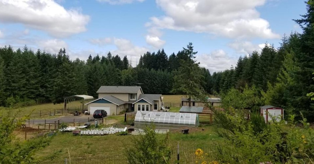 climapod's tweet photo. Passion XL Greenhouse photo from one of our happy ClimaPod customersβ
β
more Information at:β
https://t.co/83PS2xJMtYβ
π² 206.495.7790β
#climapod #climashell #glasshouse #usagardener #gardenphoto #greenhouse https://t.co/dFMV2z9hJY