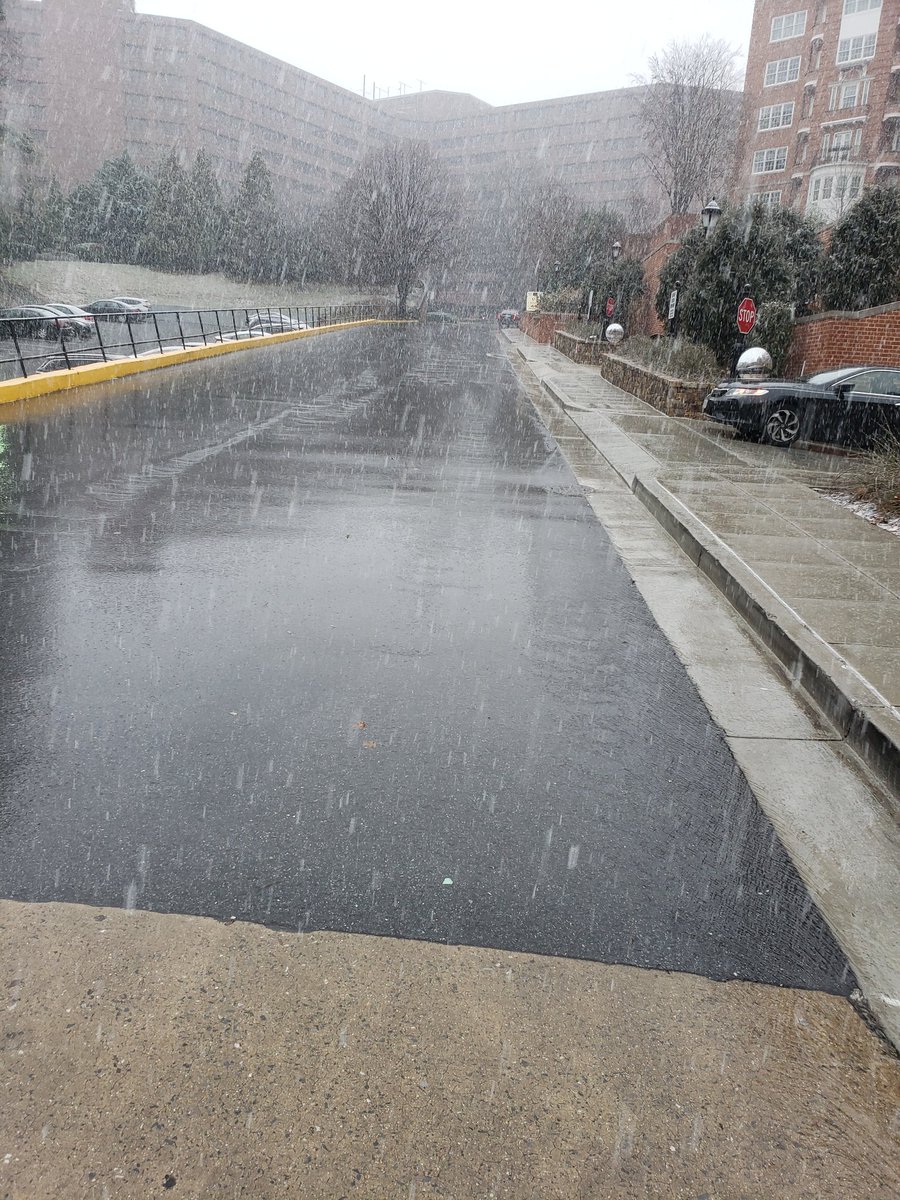 Ruth31Wm's tweet photo. It's snowing in Washington for the IES Meeting. City and government closing early. #IESPIMtg https://t.co/RQ9W8iJsxL