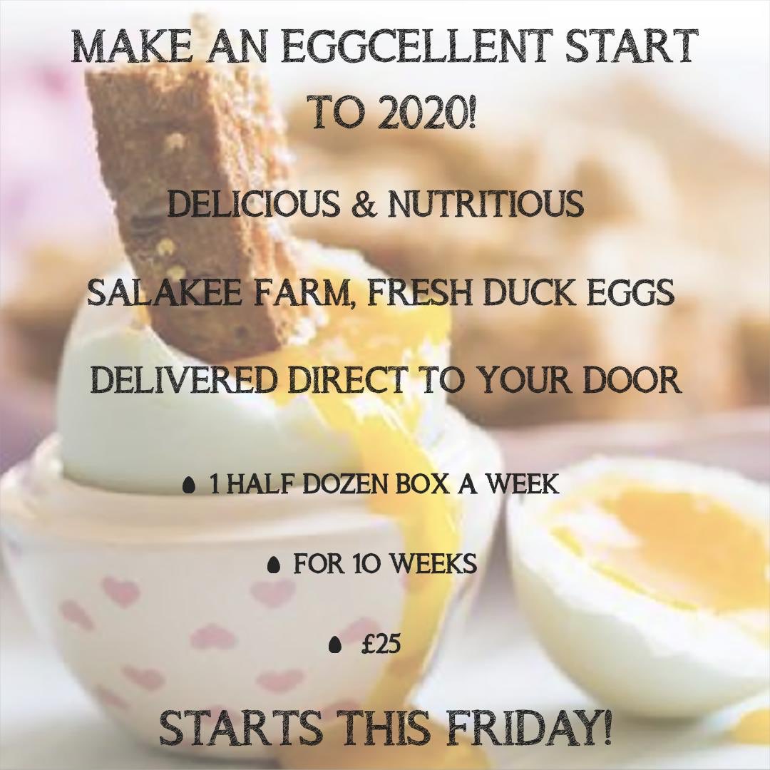 The shortest day is over, so our ducks are back in action and laying. Is your new years resolution to be kinder to the environment, support local business’s, or even eat more nutritious food? If so give us a shout if you would like to receive a box of yummy duck eggs weekly