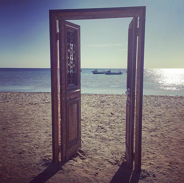 IlMandoFishing's tweet photo. Oltre la porta, il paradiso 🏖 🐠 
#marsaalam #hilton #abudabbab #redsea #egypt #holydays #christmas #coral #beach #egitto #sea #travel #desert #like #sharmelsheikh #diving #lifestyle #marrosso #life #underwater #mare #nature  ##deserto #holiday #insta… https://t.co/PxnBBQv26m https://t.co/7Kgxs9DwRX