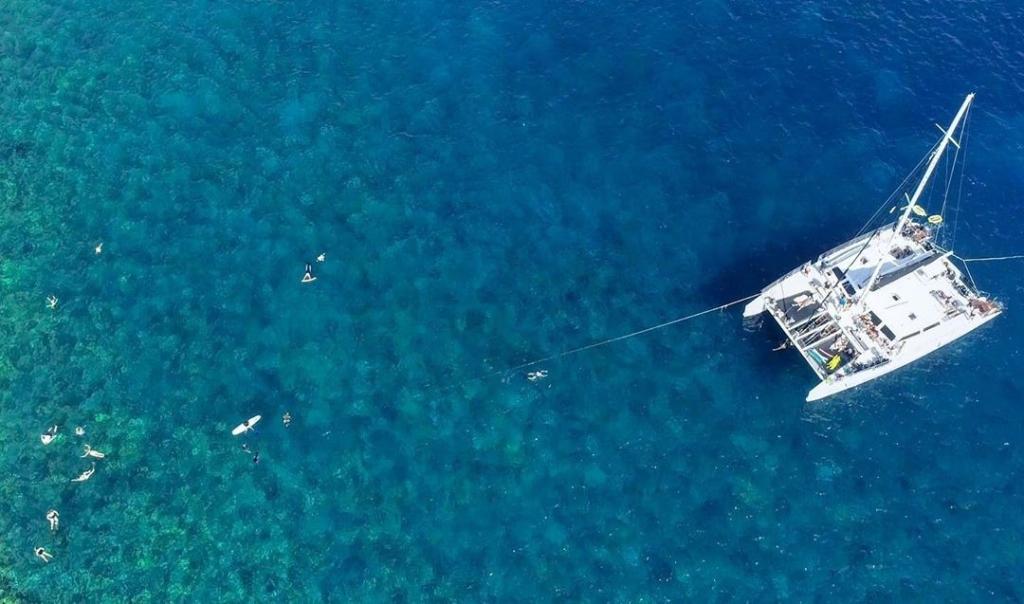 Our "winter blues" look a little bit different over here in West Maui...with Alii Nui Maui.

#beach #vacay #wanderlust #beautifuldestinations #travelgram #hawaii #gohawaii