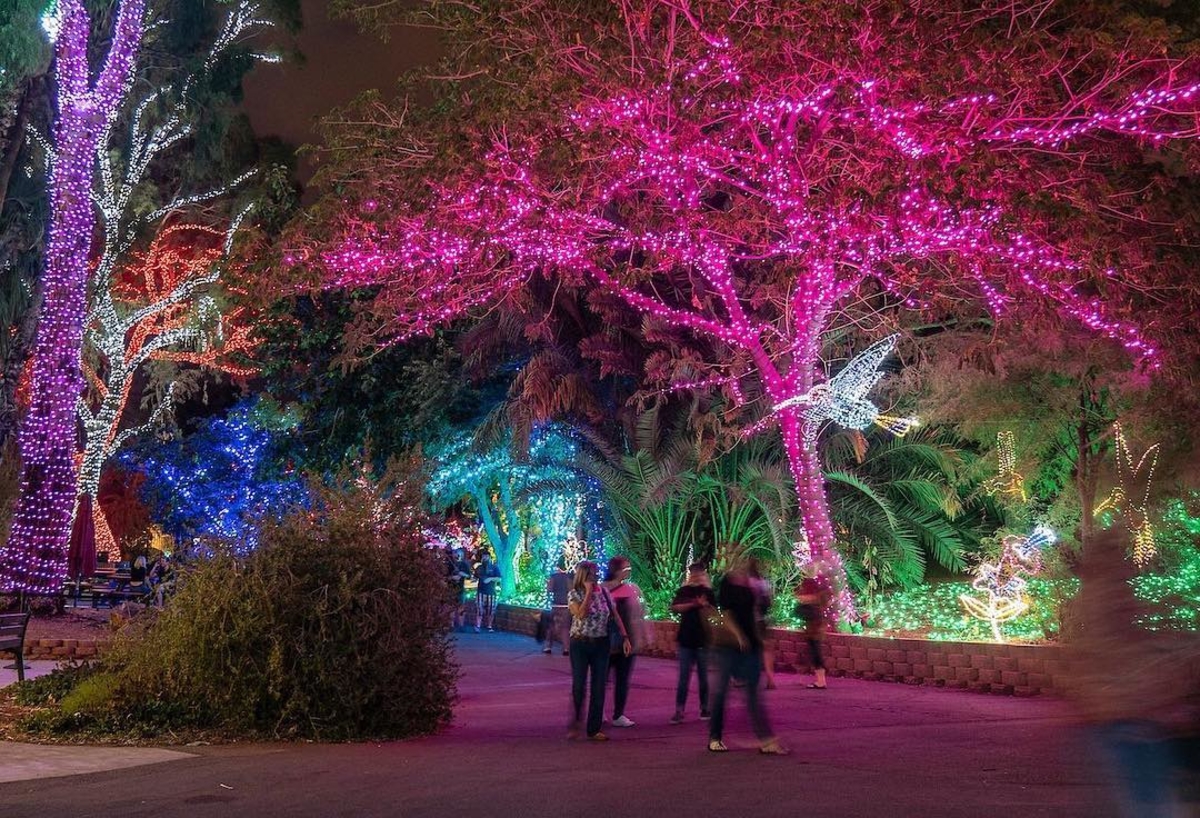 See the Phoenix Zoo in a new light during their ZooLights exhibition—continuing through Jan. 19. 

(Photo Credit: <a href="/phoenixzoo/">Phoenix Zoo</a>)