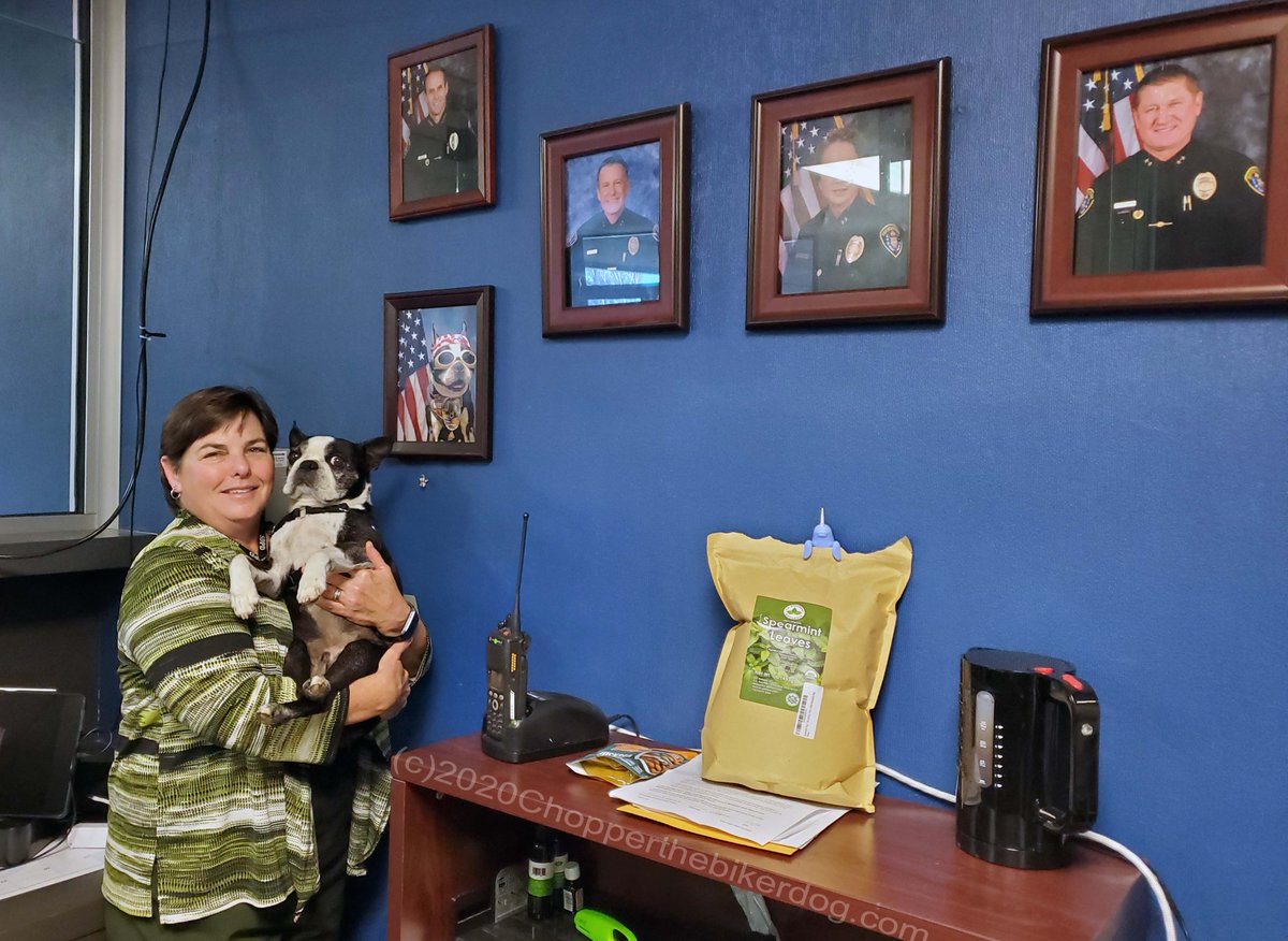 ChopperBikerDog's tweet photo. I insisted we stop by & visit the @SanDiegoPD Eastern Division this morning, dropping off a special gift to Lt.
Stone & sharing my #ChopperLove, then a quick
stop 2 "Traffic" as well, but I was "over" having my picture taken by then. LOL #SupportYouPolice #ThankU4YourService https://t.co/ve6d6yu21U