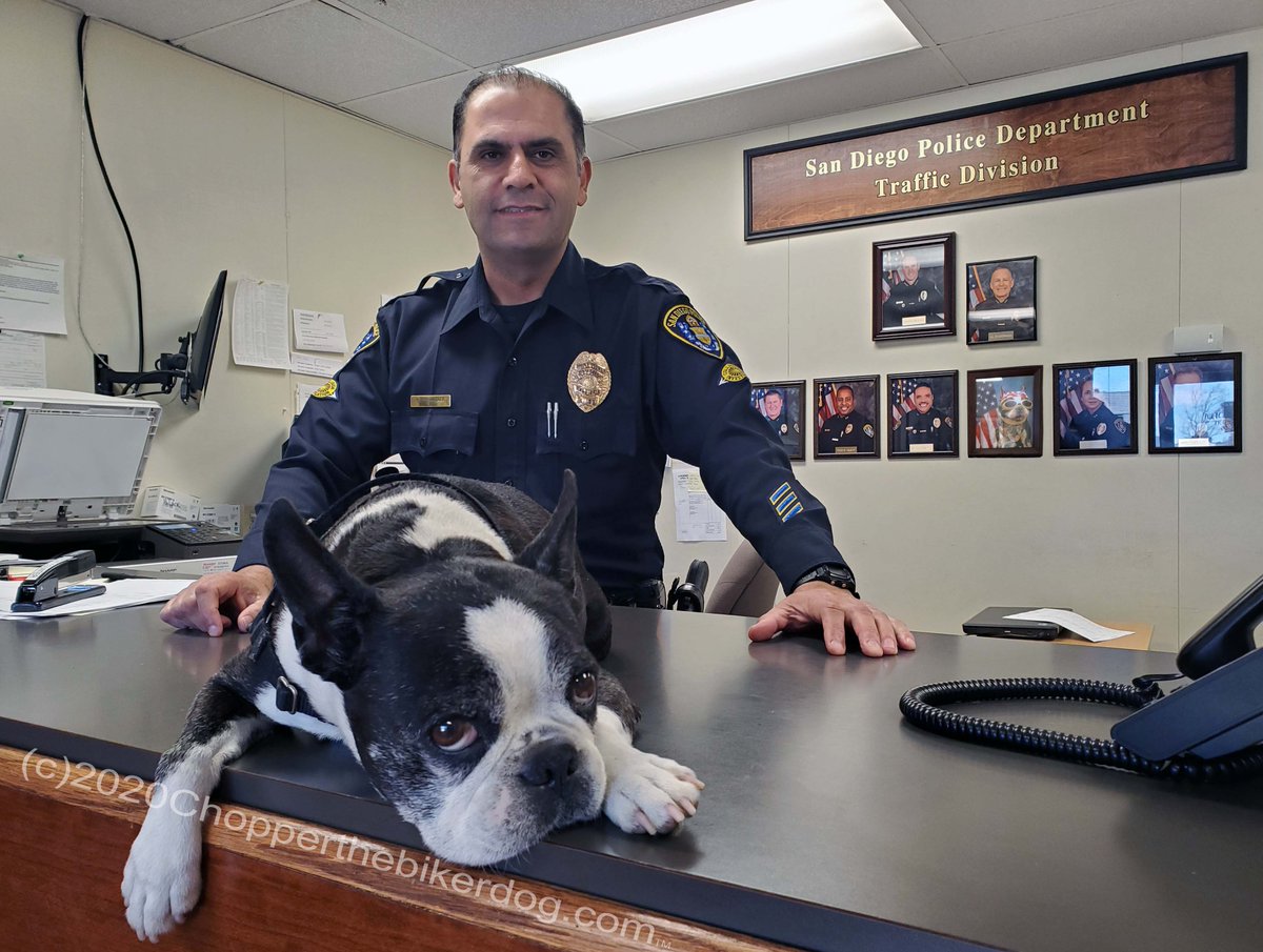 ChopperBikerDog's tweet photo. I insisted we stop by & visit the @SanDiegoPD Eastern Division this morning, dropping off a special gift to Lt.
Stone & sharing my #ChopperLove, then a quick
stop 2 "Traffic" as well, but I was "over" having my picture taken by then. LOL #SupportYouPolice #ThankU4YourService https://t.co/ve6d6yu21U