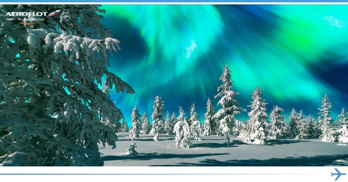 Aeroflot_World's tweet image. Come to see the Polar night! Russian Murmansk region almost entirely lies to the north of the Polar Circle. It is one of the best place to find Aurora Borealis! #Aeroflot #ExploreRussia