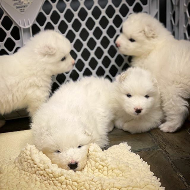 Caption this 🐾❤️