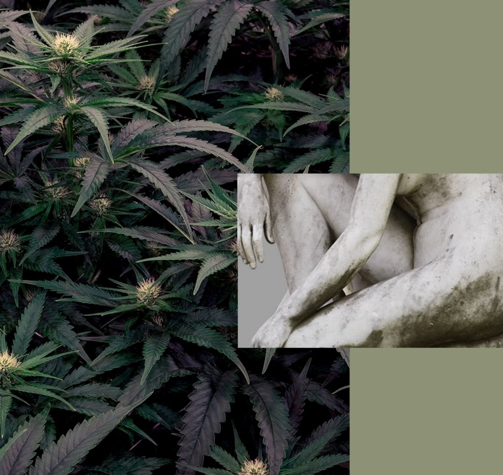 When it comes to cannabis, moderation is everything. 

If you consume THC every day, your tolerance might make some withdrawal symptoms more likely. These can include difficulty sleeping, headache, and irritability.

Image c/o <a href="/tokyo_smoke/">Tokyo Smoke</a>

#puffdigital
