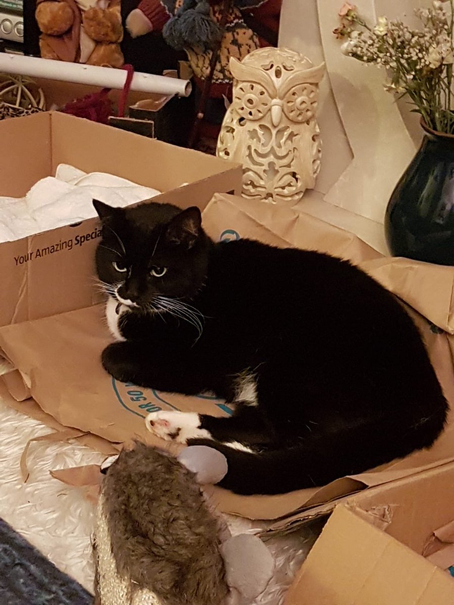 Caro Hattersley tweet media