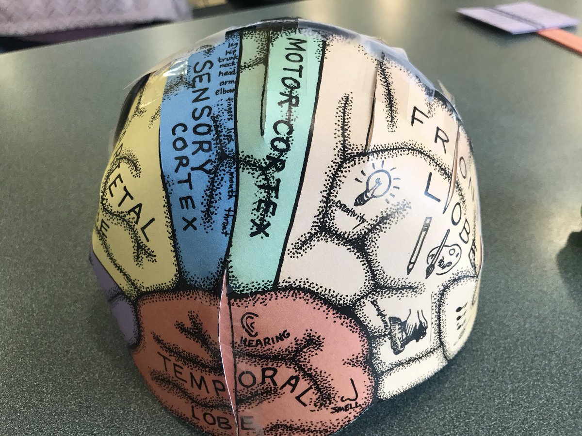 colvincougars's tweet photo. What do teachers and paraprofessionals do on inservice days? We spend time learning new techniques to use in the classroom as well as celebrating the growth our students are making. Good things are happening. 😀
#ColvinPRIDE 
#ProudCOLVINprincipal https://t.co/7WRukEScHh