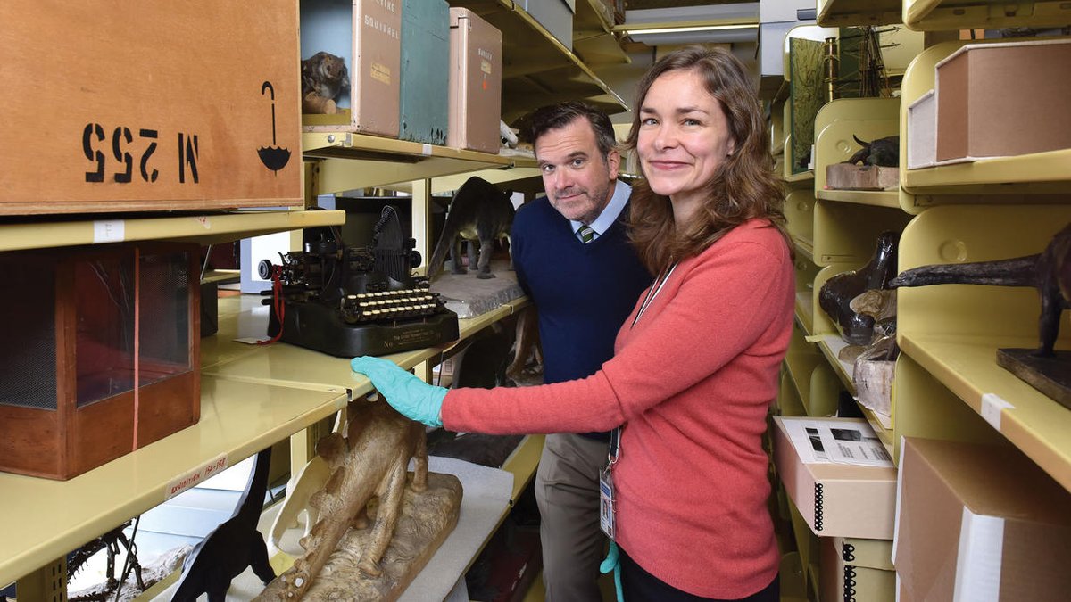 Two people standing in an aisle between crowded shelves. The shelves are full of books, boxes, and dinosaur and animal models.