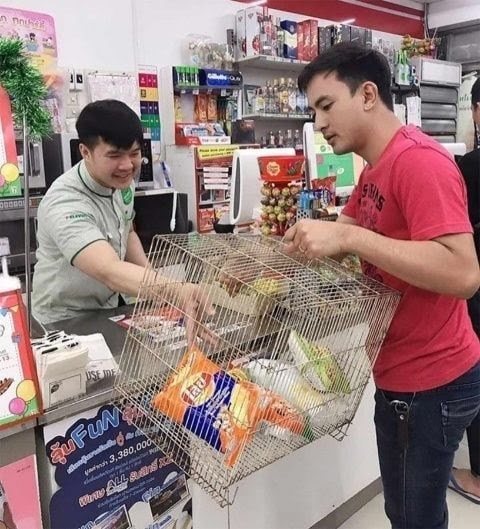 DiariodeMorelos's tweet photo. #VIRAL

INGENIOSAS MANERAS POR PROHIBICIÓN DE USO DE BOLSAS

En Tailandia ya comenzaron el 2020 con la prohibición del uso de bolsas de plástico, por lo cual las personas se las han ingeniado para llevar su mercancía a su casa. He aquí unos ejemplos: 👇 https://t.co/aDJeNZPzu1