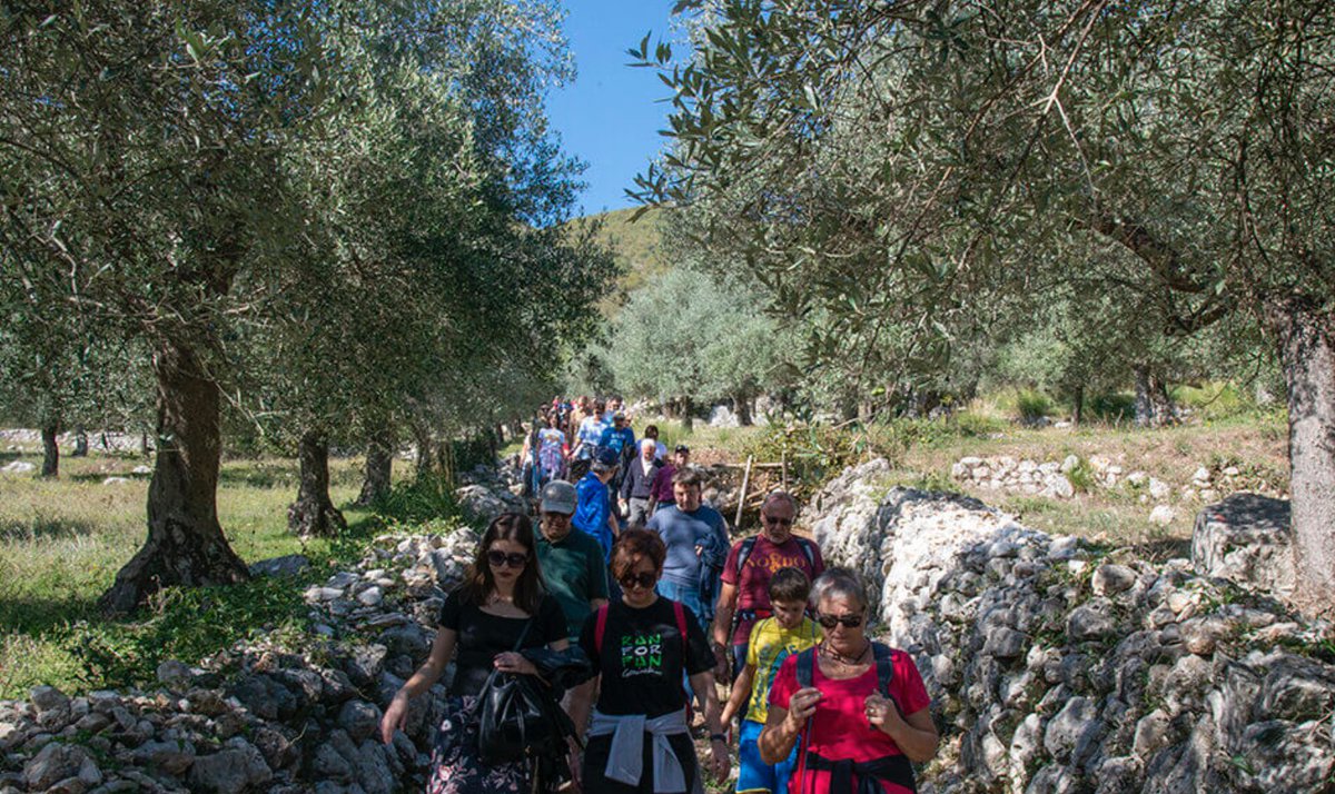 In Italy, Hiking Through the Olive Groves oot.ms/1ms via <a href="/oliveoiltimes/">Olive Oil Times</a> #olivetrees #olives #oliveoil #italy