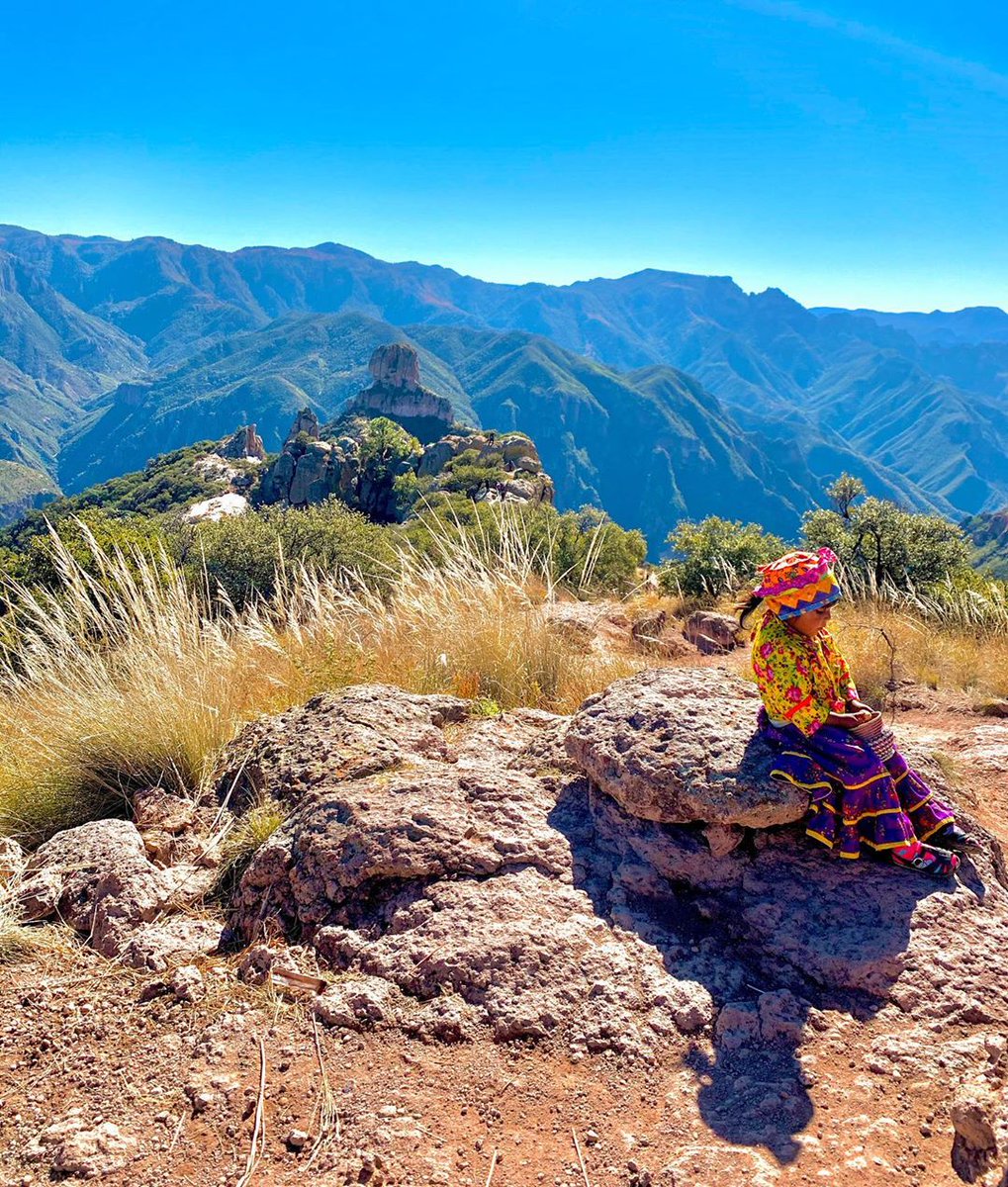hotel_mansion's tweet photo. Paisajes de #Areponapuchi en Barrancas del Cobre, #Chihuahua por 📷 yeliluev https://t.co/MfxDQ380CK