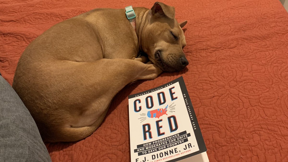 alex2catanese's tweet image. Looking forward to participating in @EJDionne’s #CodeRedBookClub on how progressives and moderates can actually/maybe/hopefully work together to solve some problems. (Sasha agrees 🐶)