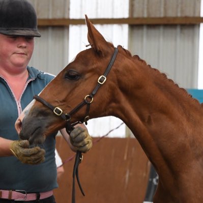 Perriland1's tweet image. #NewProfilePic