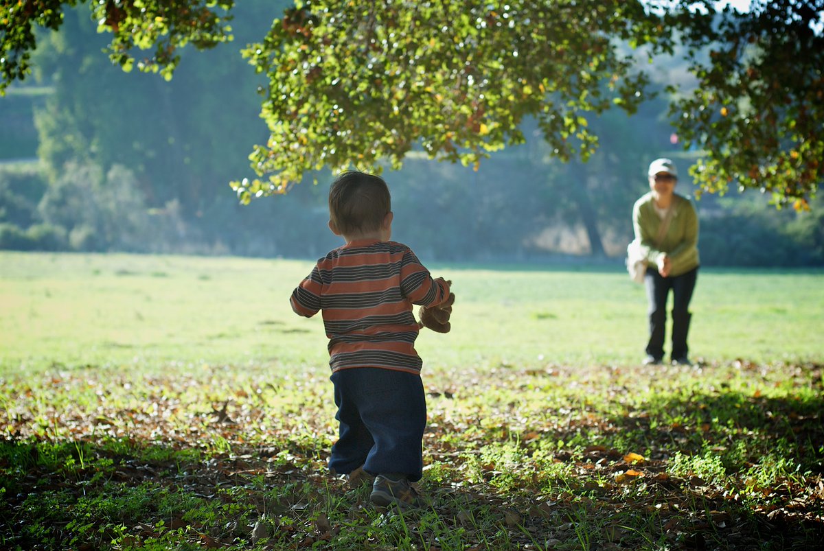 baby walker for grass