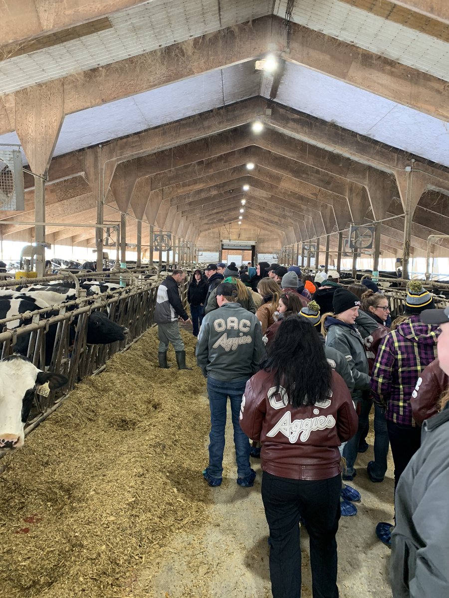 UofGDairy's tweet photo. For our first farm tour we toured Heidi Farms in Bainsville Ontario. Throughout the tour we were reminded in order to be successful in farming it doesn’t have to be complicated! Thank you Heidi Farms! #aggiesgoeast #simplefarming https://t.co/FyZN5uWnWj