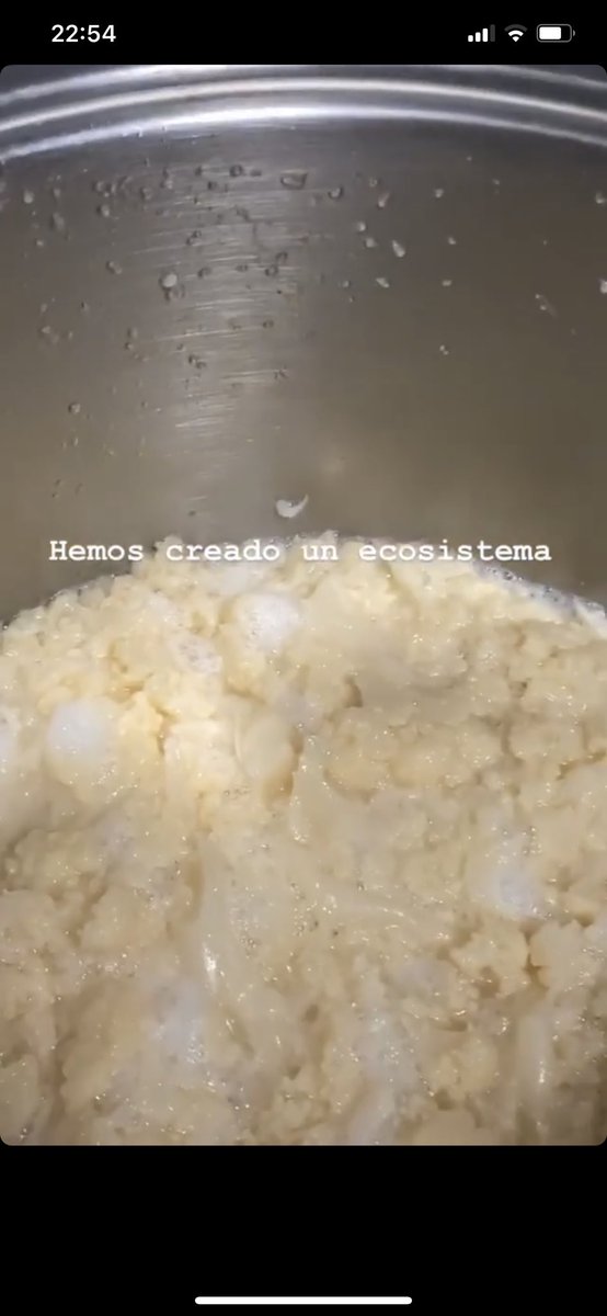 vanessafvas's tweet photo. @kansaita_ 1. olvidamos la coliflor 3 días en la olla y no sabíamos de donde venía el olor putrefacto hasta que levantamos la tapa 

2. Creamos vegetación en el lavabo de la cocina 

3. Se nos rompió el tirador y como la casera no nos hace caso hemos tenido que apañárnoslas https://t.co/yvs1jEVUJx