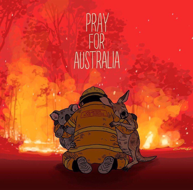 yMieryTeran's tweet photo. Oremos por las especies que están sufriendo en #Australia #CosasRarasDeLosPobres https://t.co/qU4omLkSCV