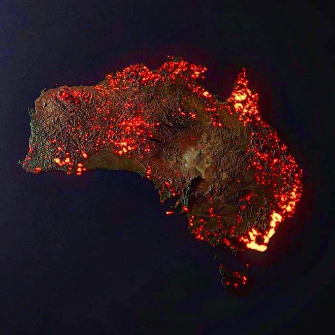 オーストラリア山火事のtwitterイラスト検索結果