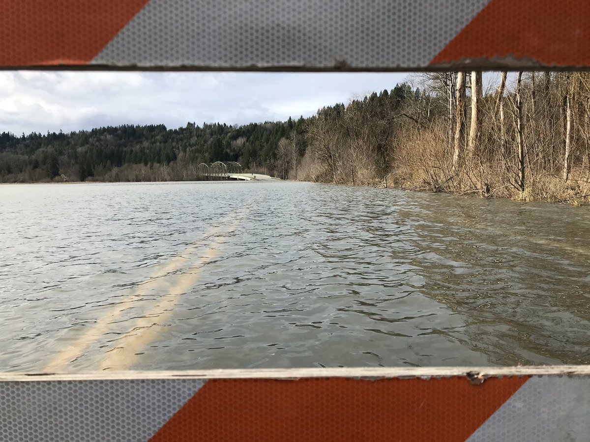 MikeBotsford's tweet photo. Tolt River flooding over NE Tolt Rd off 203 in Carnation. Live reports on @KING5Seattle at 4, 5, &amp; 630 with @srobertsontv https://t.co/UMU9YNoiG2