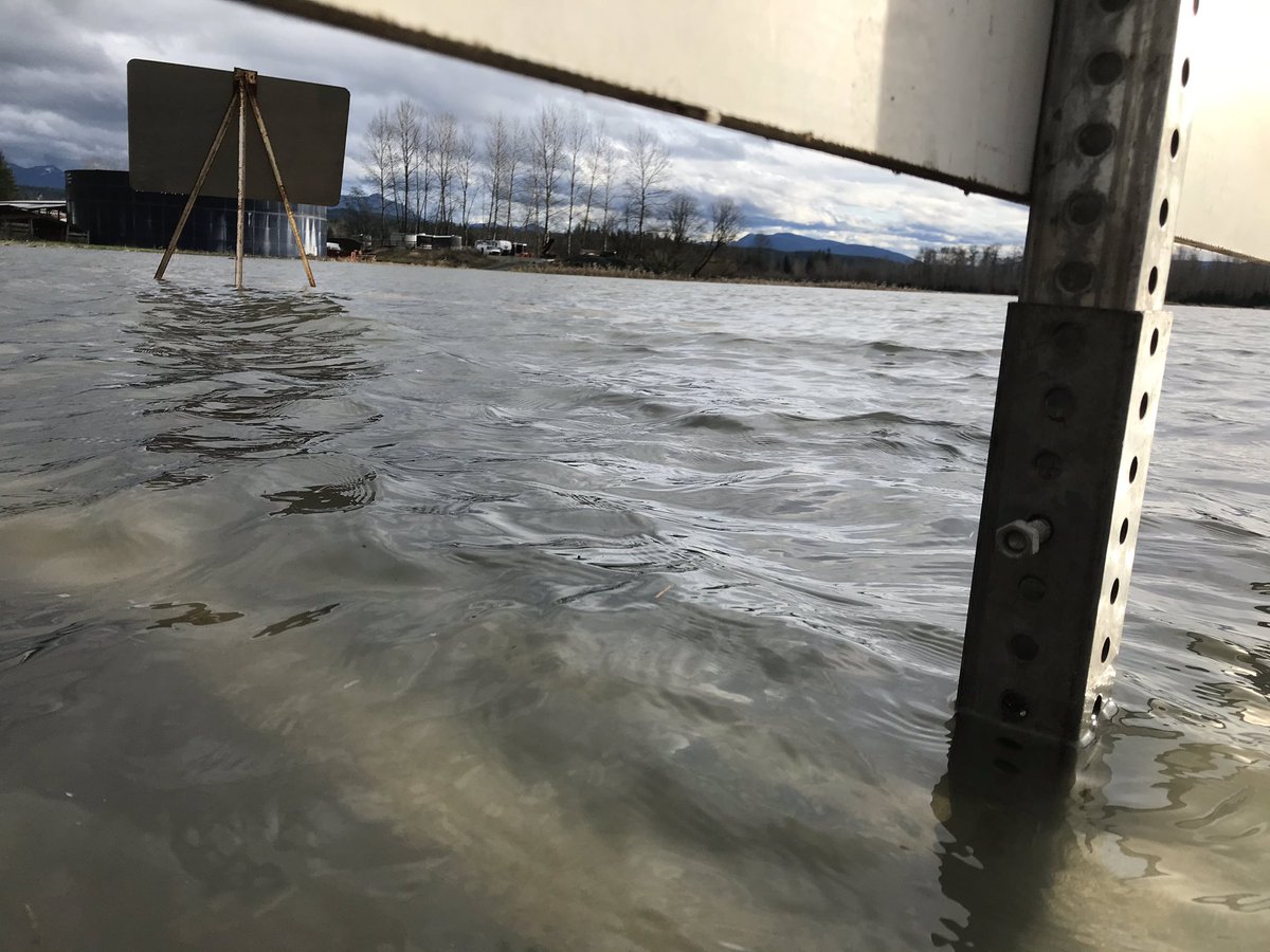 MikeBotsford's tweet photo. Tolt River flooding over NE Tolt Rd off 203 in Carnation. Live reports on @KING5Seattle at 4, 5, &amp; 630 with @srobertsontv https://t.co/UMU9YNoiG2