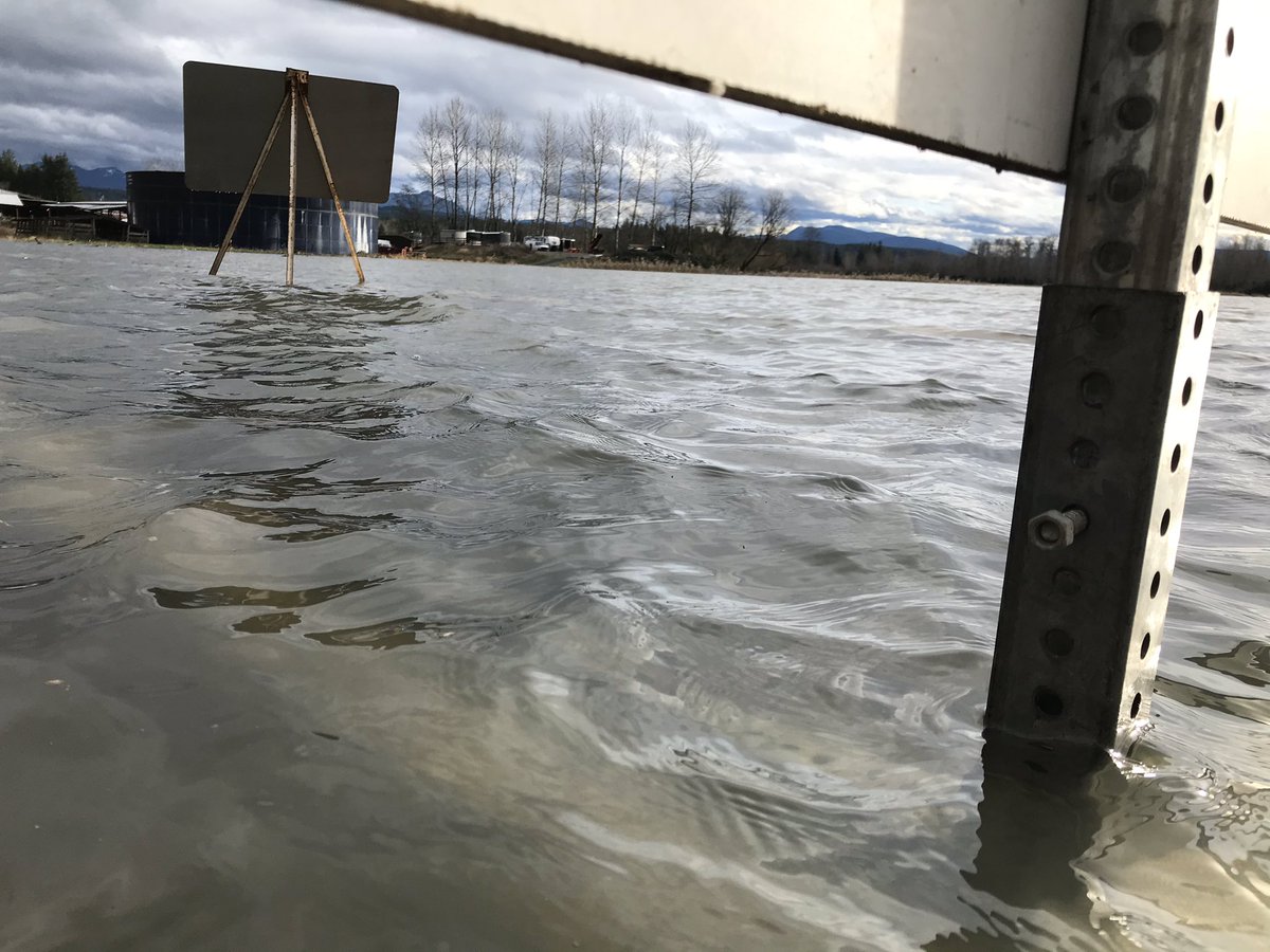 MikeBotsford's tweet photo. Tolt River flooding over NE Tolt Rd off 203 in Carnation. Live reports on @KING5Seattle at 4, 5, &amp; 630 with @srobertsontv https://t.co/UMU9YNoiG2
