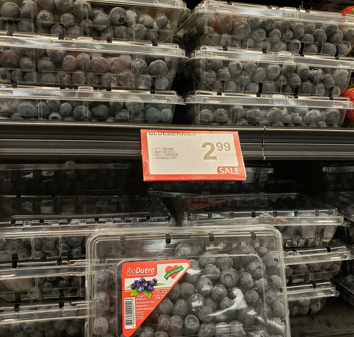 realcountry955's tweet photo. Blueberries for days at @centralabcoop and they're on sale! 😍
Take advantage of #ScratchandSave with a min 10% coming off your grocery purchase at Co-op Food Stores today only! Even enter to win your entire purchase back 👀 #shoplocal https://t.co/yQCBUttLrk